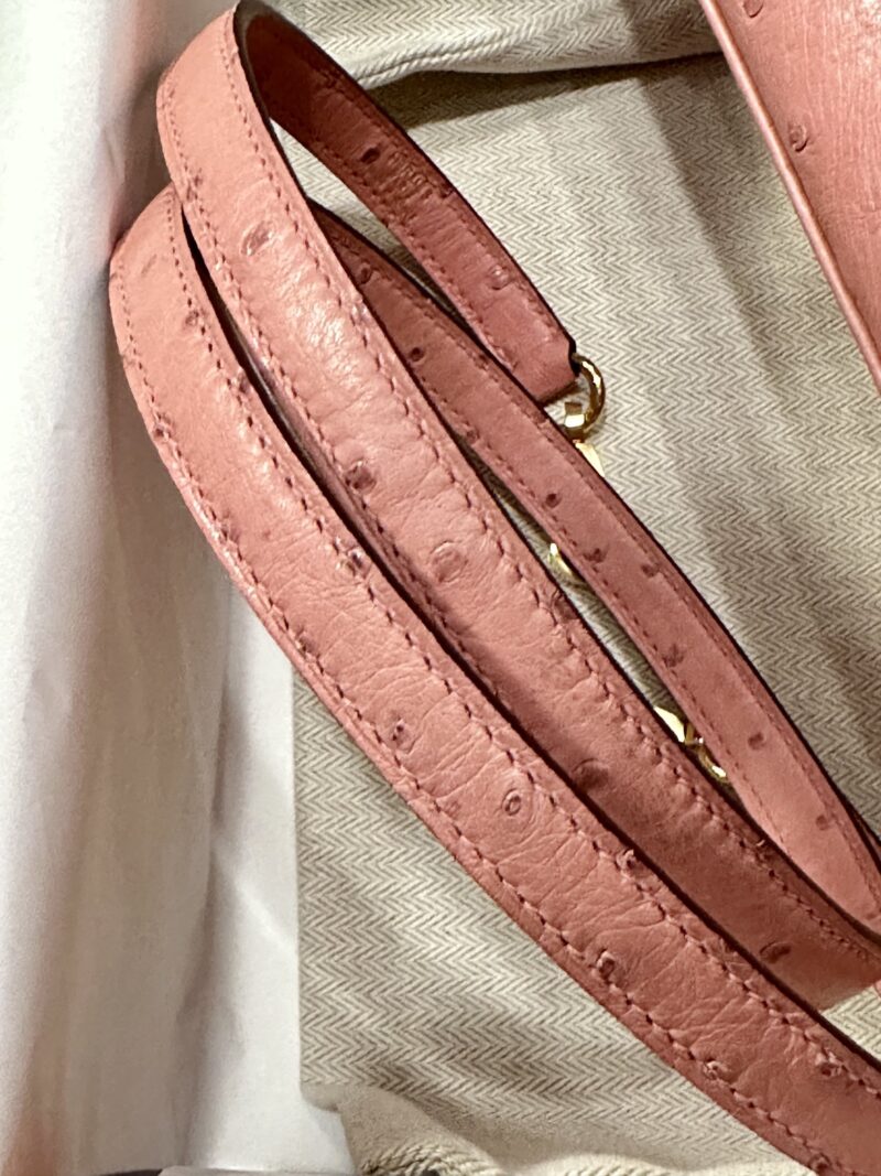 Hermès Kelly 25 Ostrich Terre Cuite Gold Hardware - Image 8