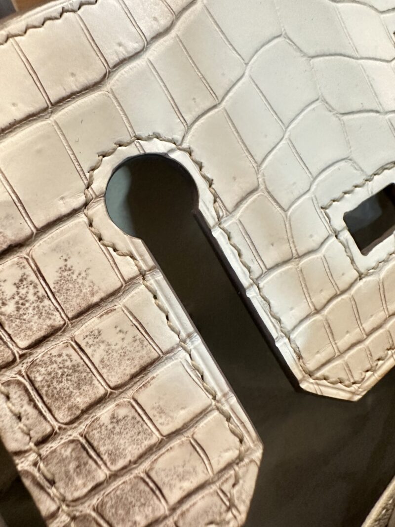 Hermès Birkin 25 Himalaya, Craie Crocodile, Togo Palladium Hardware - Image 6
