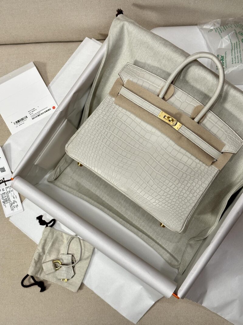 Hermès Birkin 25 Beton Matte Crocodile Gold Hardware
