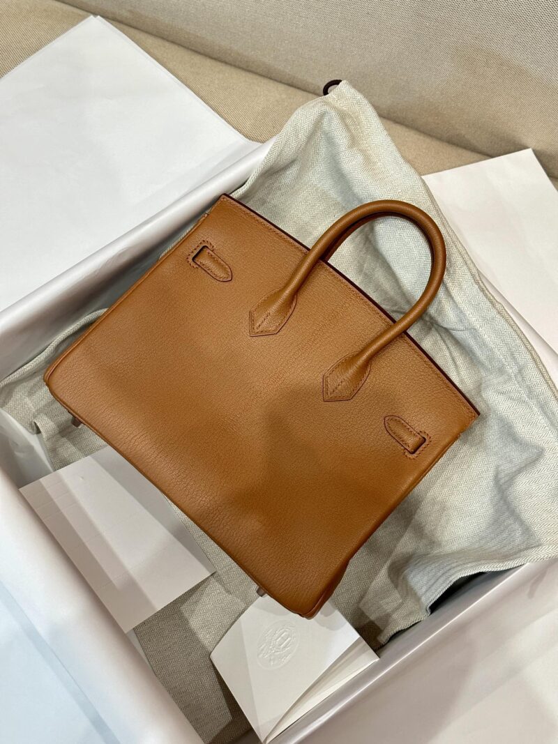 Hermès Birkin 25 Gold Chevre Palladium Hardware - Image 2