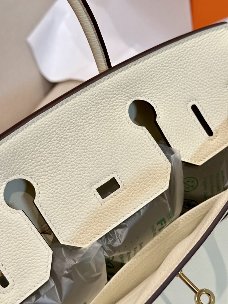 Hermès Birkin 30 Nata Togo Gold Hardware - Image 4