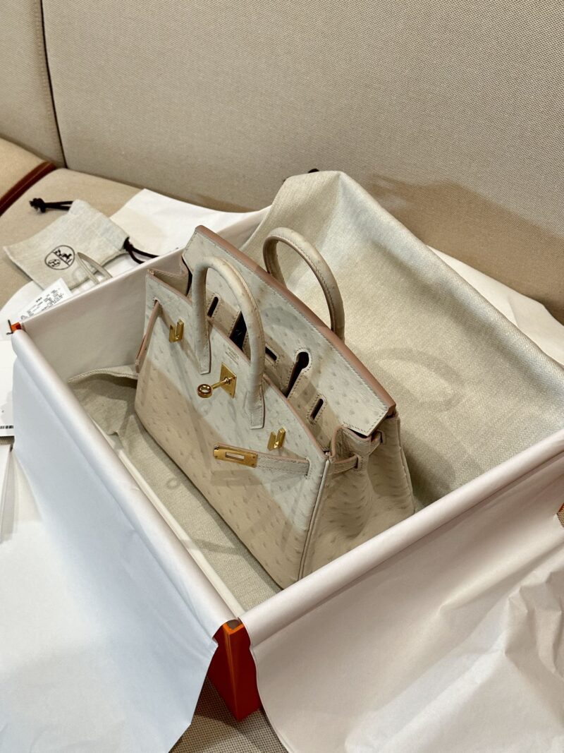 Hermès Birkin 25 Beton Ostrich Gold Hardware - Image 3