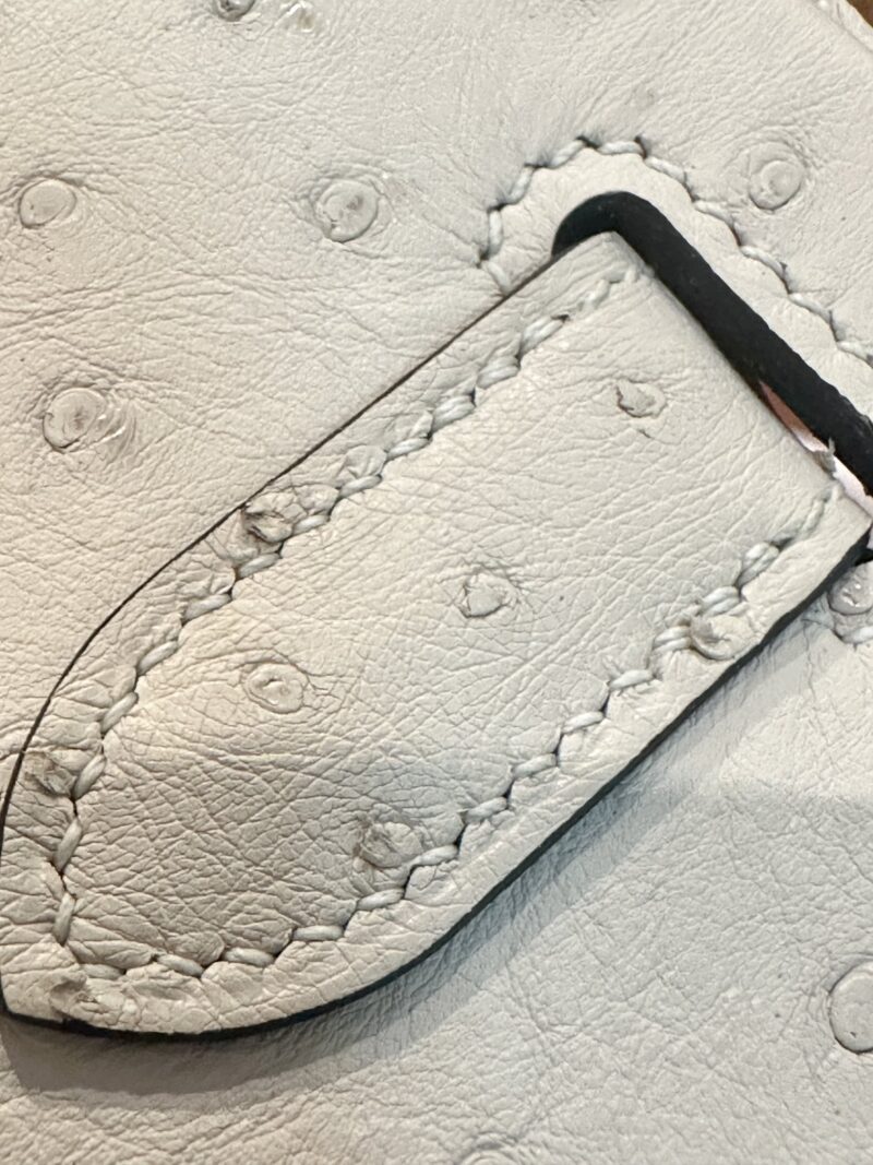 Hermès Birkin 30 Parchemin, Silver Ostrich Palladium Hardware - Image 14