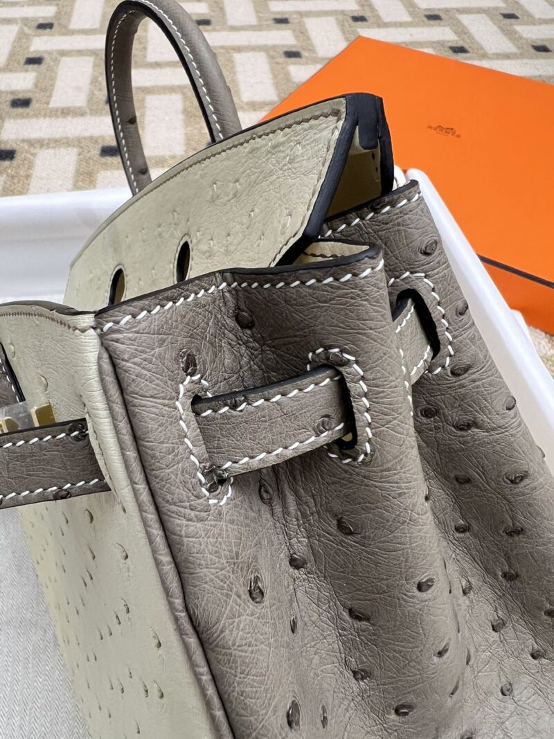 Hermès Birkin 25 Parchemin, Gris Asphalt Ostrich Gold Hardware - Image 9