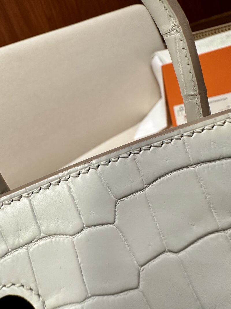 Hermès Birkin 25 Beton Matte Crocodile Gold Hardware - Image 10