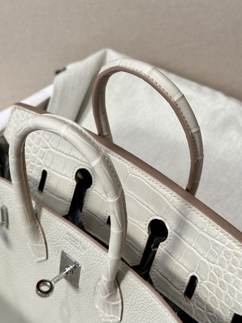 Hermès Birkin 25 Beton Crocodile, Togo Palladium Hardware - Image 4