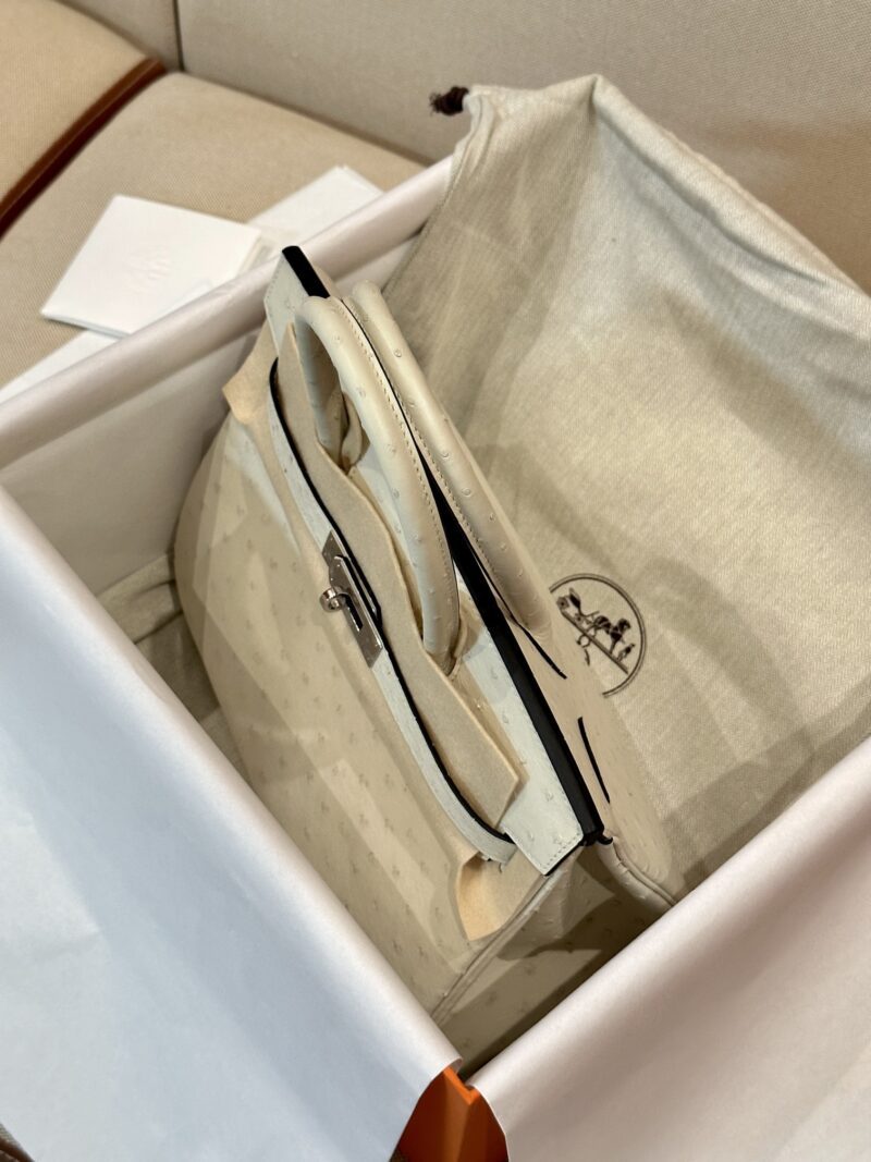 Hermès Birkin 30 Parchemin, Silver Ostrich Palladium Hardware - Image 4