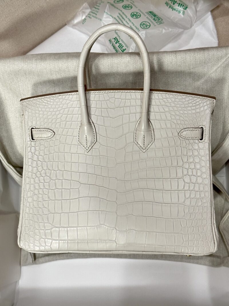 Hermès Birkin 25 Beton Matte Crocodile Gold Hardware - Image 3