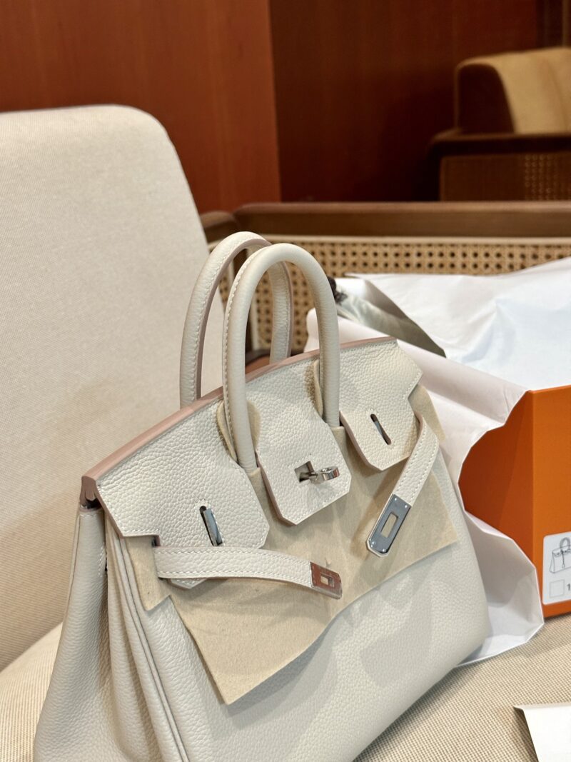 Hermès Birkin 25 Craie, Silver Togo Palladium Hardware - Image 6