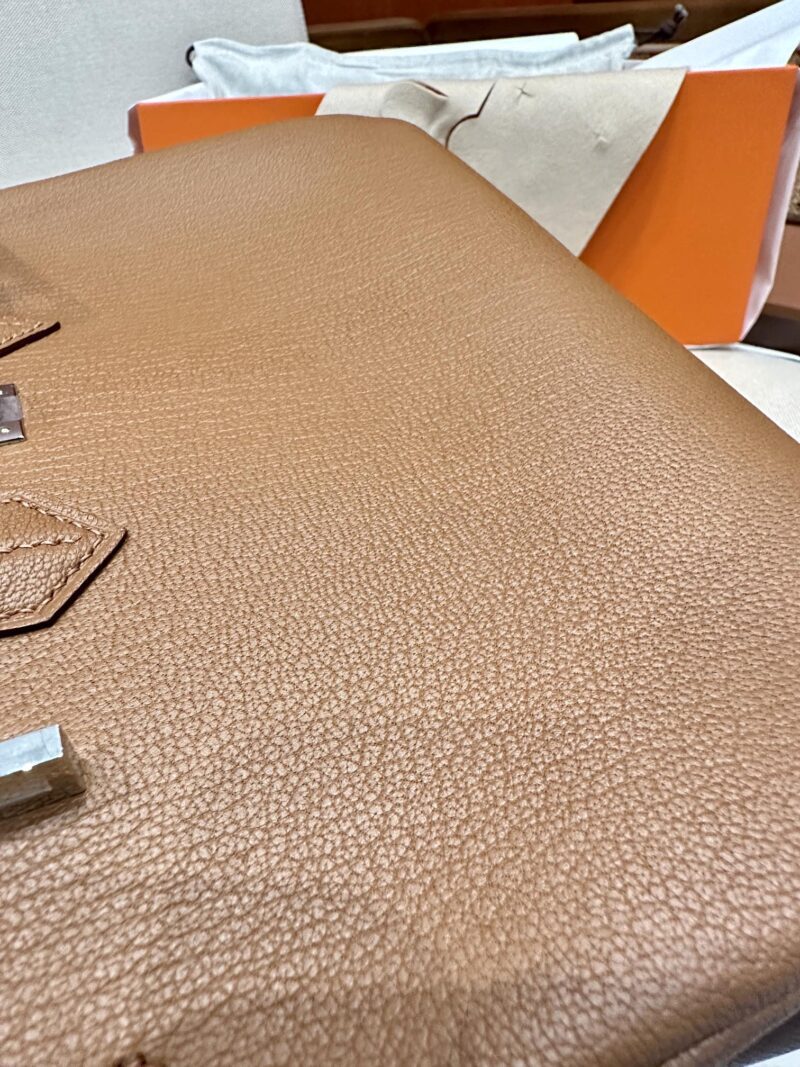 Hermès Birkin 25 Gold Chevre Palladium Hardware - Image 10