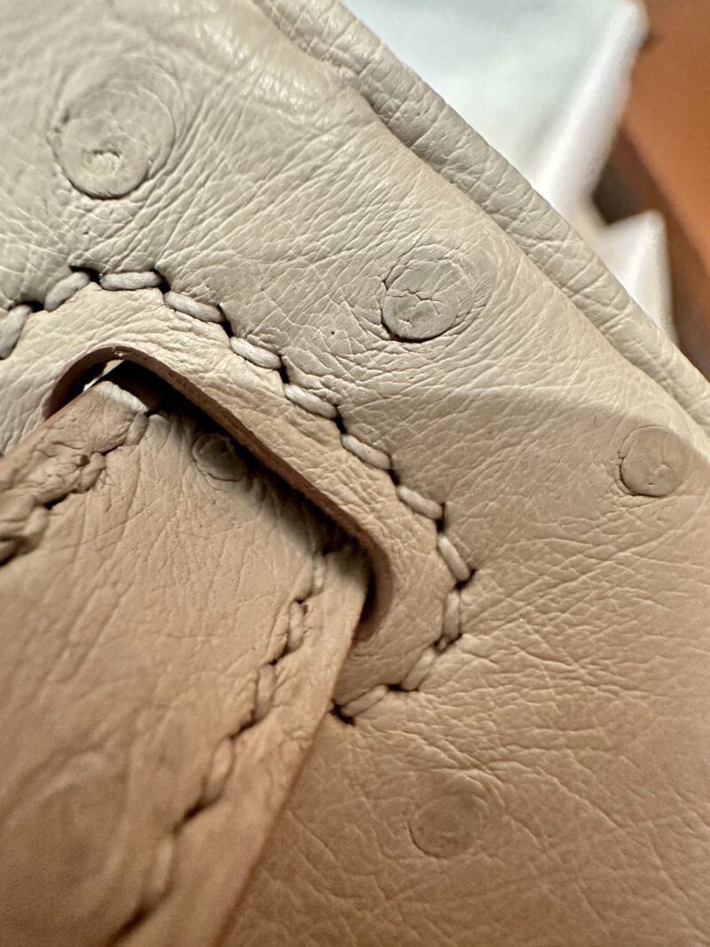 Hermès Birkin 25 Beton Ostrich Gold Hardware - Image 11