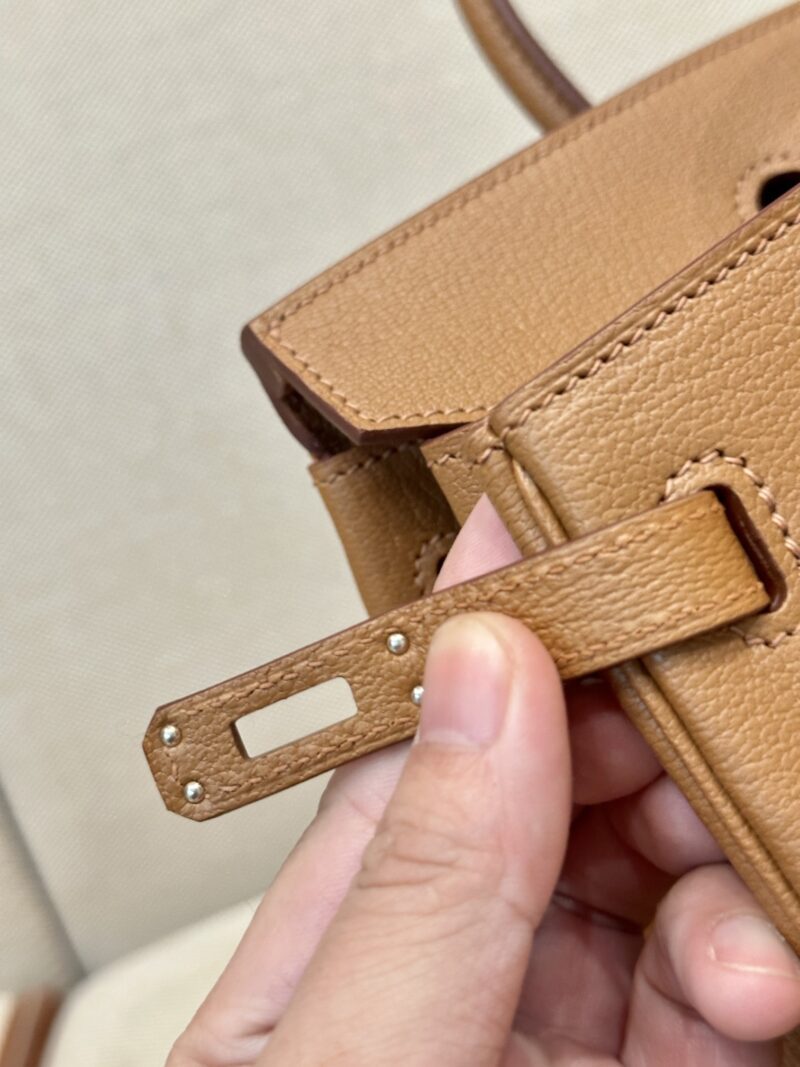 Hermès Birkin 25 Gold Chevre Palladium Hardware - Image 11
