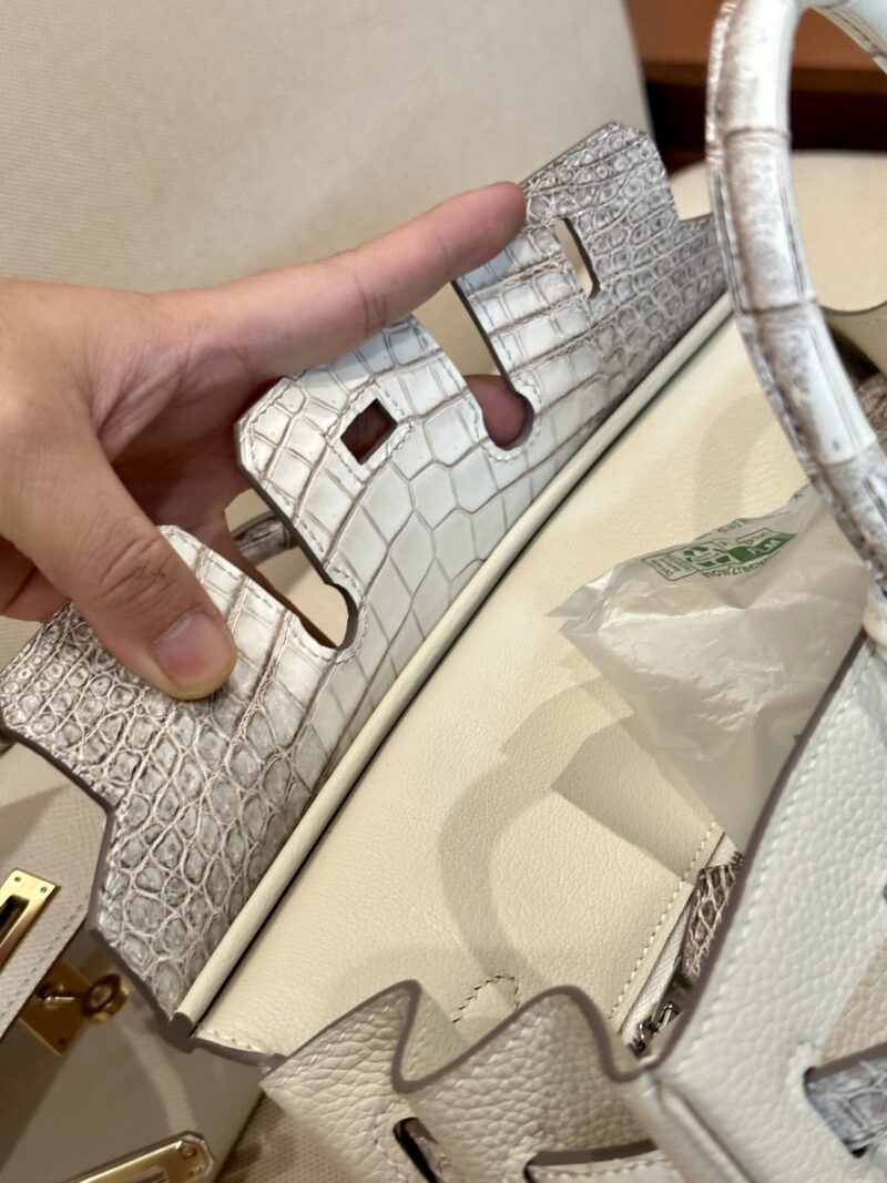 Hermès Birkin 25 Himalaya, Craie Crocodile, Togo Palladium Hardware - Image 15