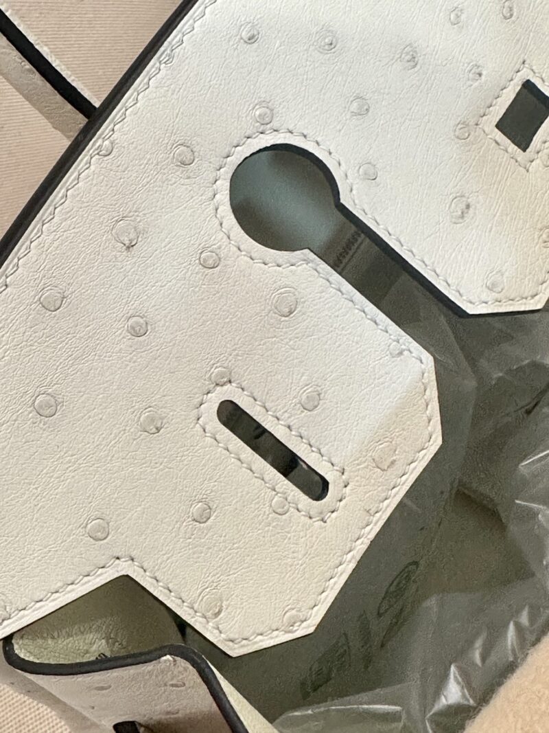 Hermès Birkin 30 Parchemin, Silver Ostrich Palladium Hardware - Image 15
