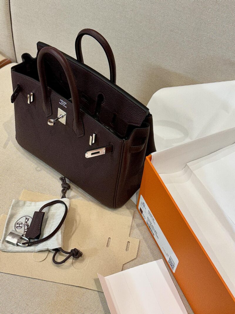 Hermès Birkin 25 Rouge Sellier, Silver Togo Palladium Hardware - Image 5