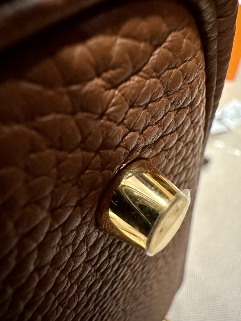 Hermès Picotin 22 Taurillon Clemence & Crocodile Gold Gold Hardware - Image 12