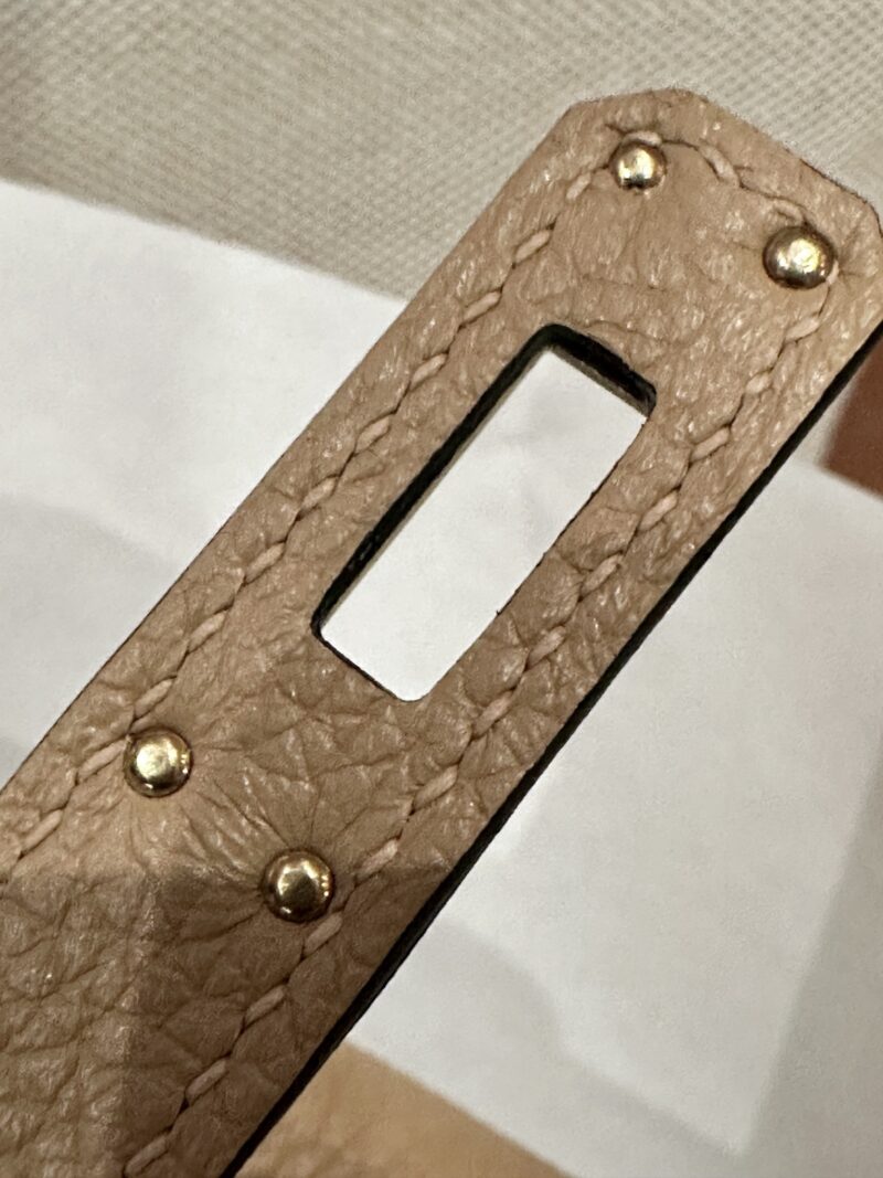Hermès Birkin 25 Chai, Gold Togo Gold Hardware - Image 9