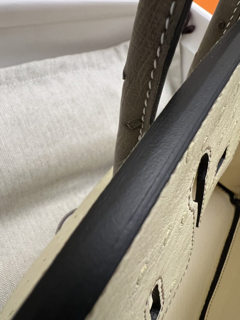 Hermès Birkin 25 Parchemin, Gris Asphalt Ostrich Gold Hardware - Image 6