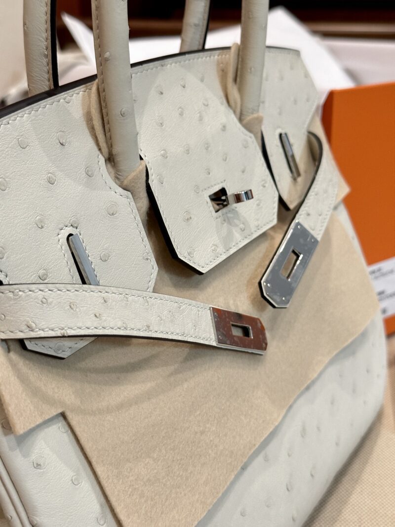 Hermès Birkin 30 Parchemin, Silver Ostrich Palladium Hardware - Image 7