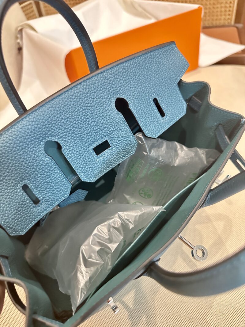 Hermès Birkin 25 Vert Bosphore Togo Palladium Hardware - Image 6