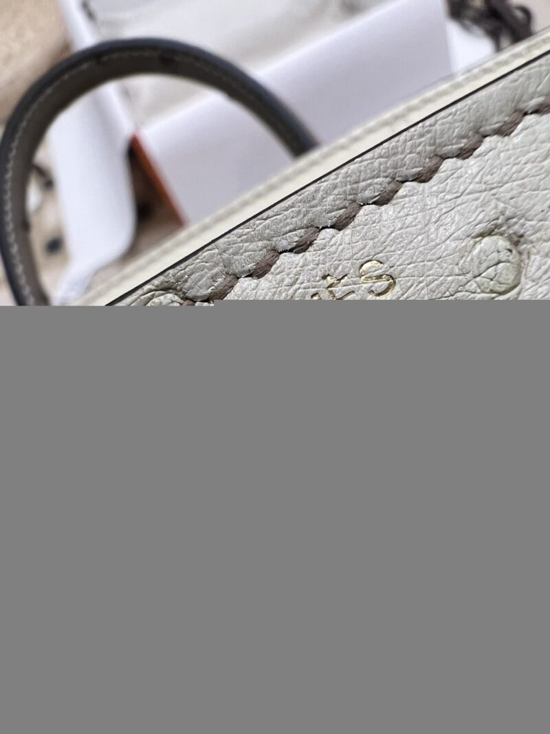 Hermès Birkin 25 Parchemin, Gris Asphalt Ostrich Gold Hardware - Image 7