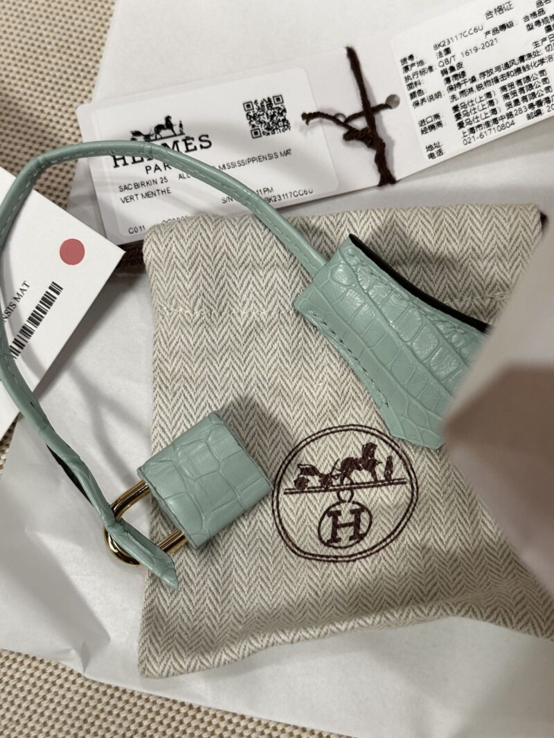Hermès Birkin 25 Vert D'eau Matte Crocodile Gold Hardware - Image 8