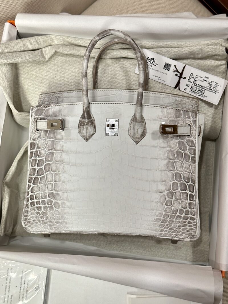Hermès Birkin 25 Himalaya Crocodile Palladium Hardware - Image 9