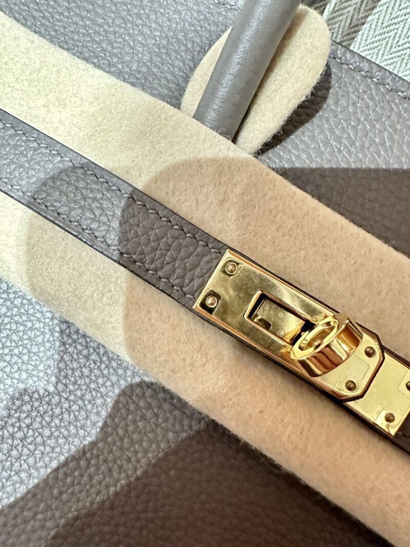 Hermès Birkin 25 Etain Togo Gold Hardware - Image 6