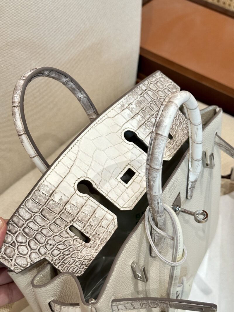 Hermès Birkin 25 Himalaya, Craie Crocodile, Togo Palladium Hardware - Image 5