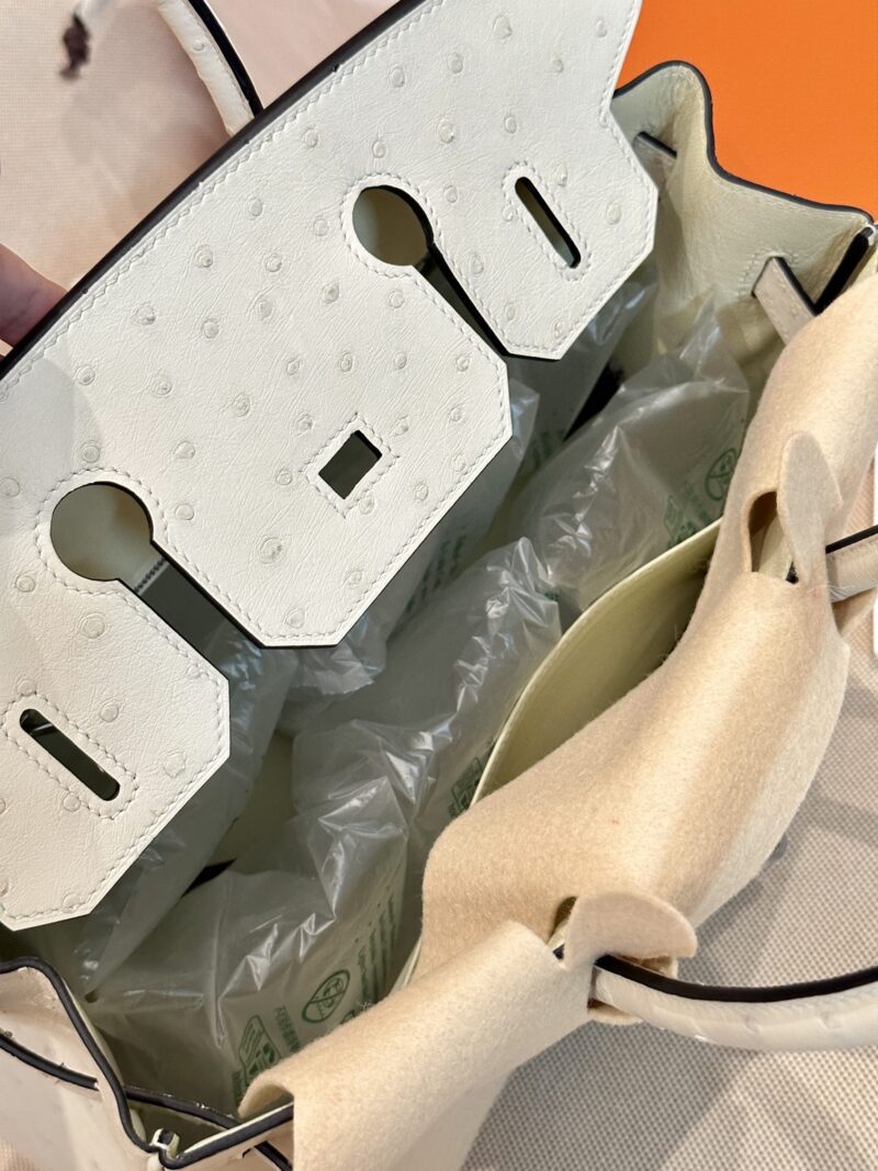 Hermès Birkin 30 Parchemin, Silver Ostrich Palladium Hardware - Image 5