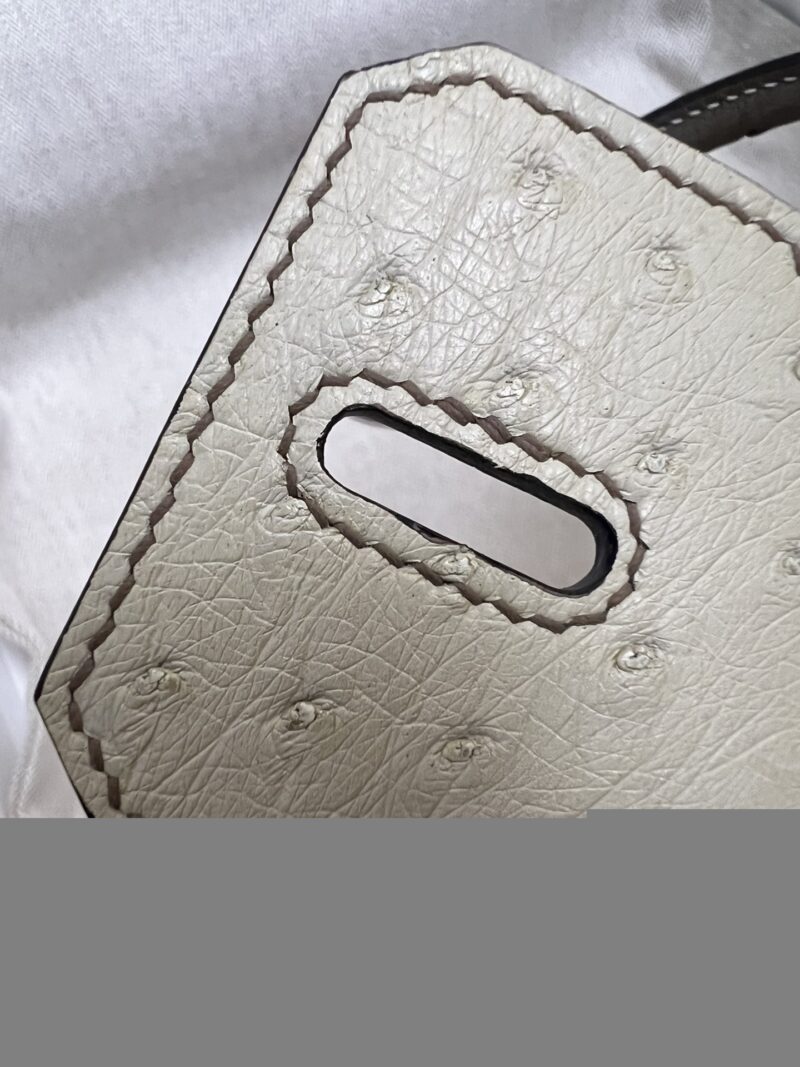 Hermès Birkin 25 Parchemin, Gris Asphalt Ostrich Gold Hardware - Image 12