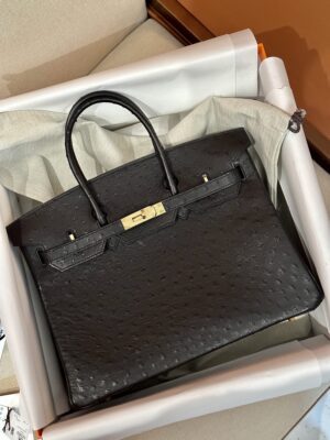 Hermès Birkin 35 Noir Ostrich Gold Hardware