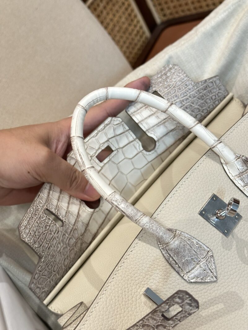 Hermès Birkin 25 Himalaya, Nata Crocodile, Togo Palladium Hardware - Image 2