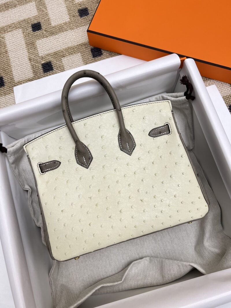 Hermès Birkin 25 Parchemin, Gris Asphalt Ostrich Gold Hardware - Image 2