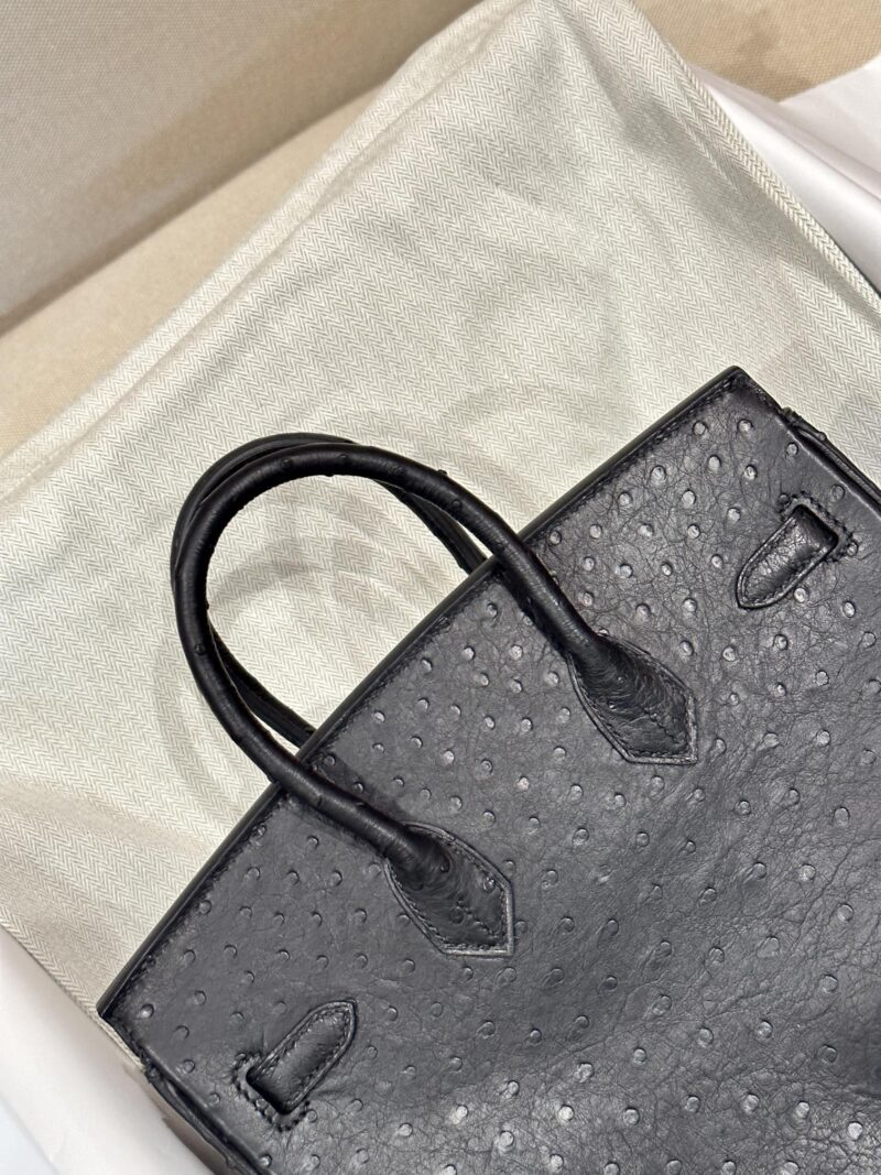 Hermès Birkin 25 Noir, Gold Ostrich Gold Hardware - Image 2