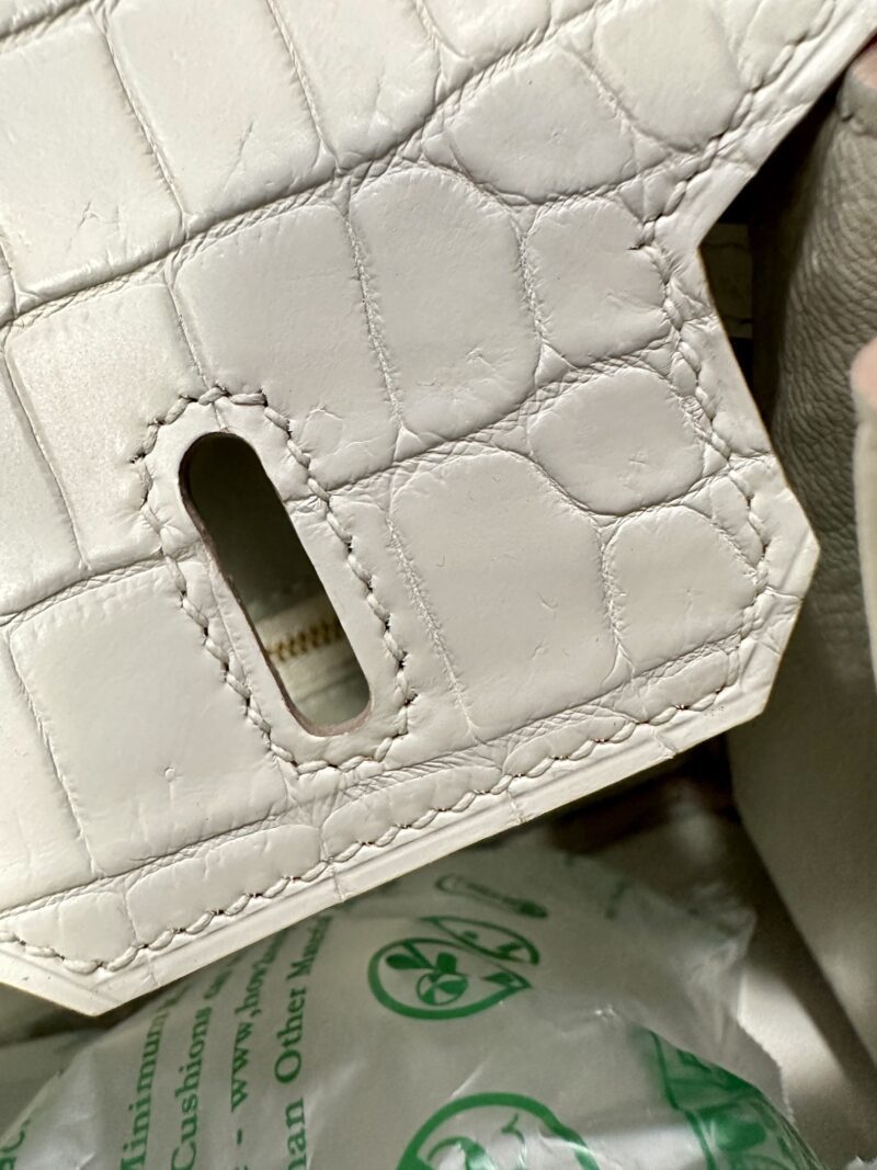 Hermès Birkin 25 Beton Matte Crocodile Gold Hardware - Image 6