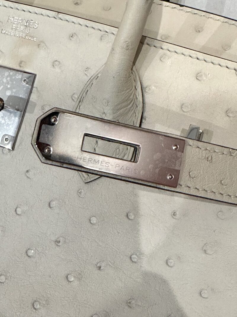 Hermès Birkin 30 Parchemin, Silver Ostrich Palladium Hardware - Image 17