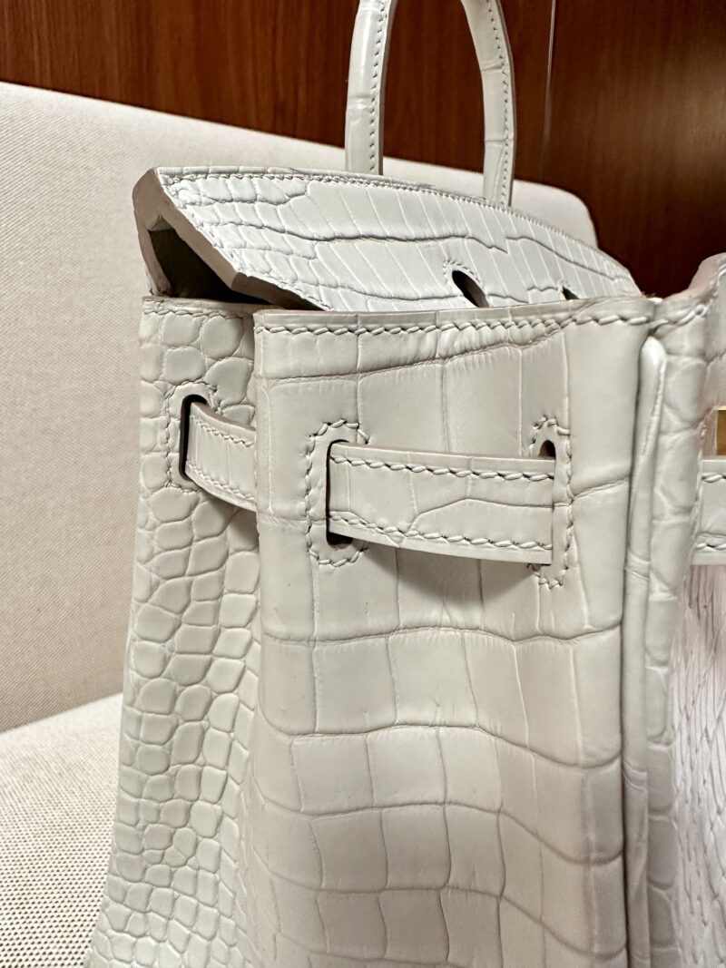 Hermès Birkin 25 Beton Matte Crocodile Gold Hardware - Image 7