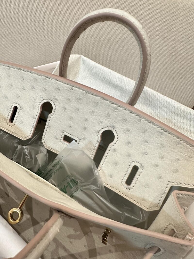 Hermès Birkin 25 Beton Ostrich Gold Hardware - Image 13