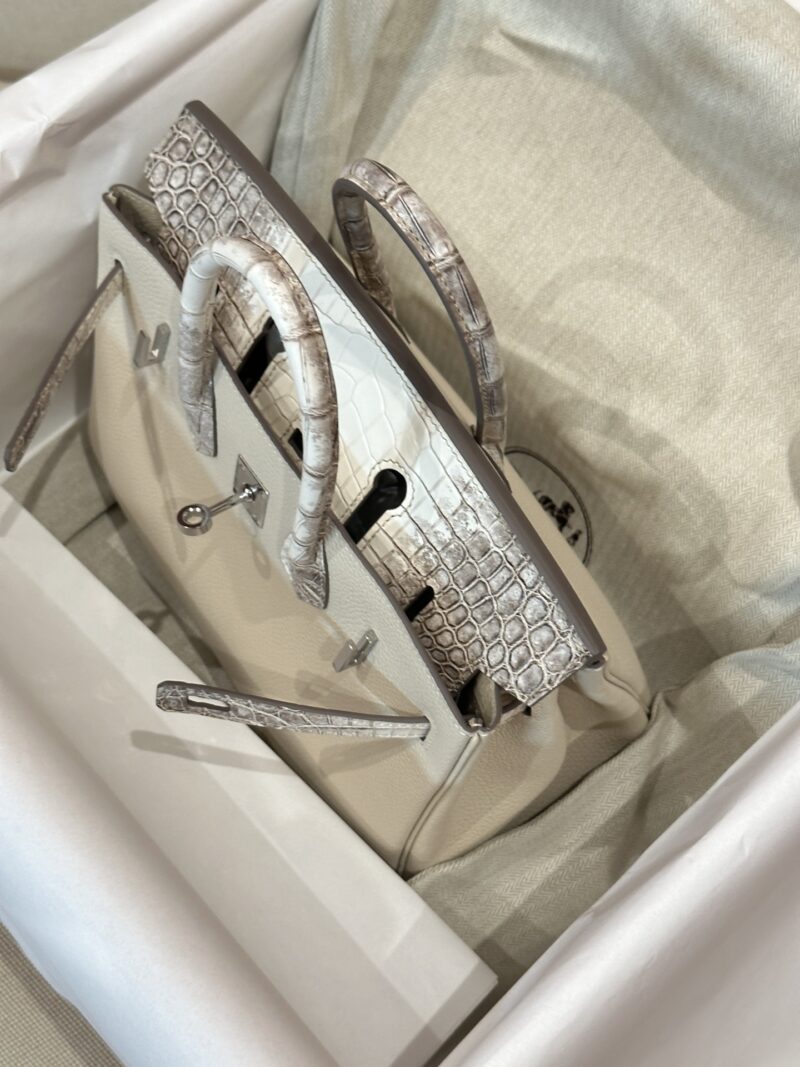 Hermès Birkin 25 Himalaya, Nata Crocodile, Togo Palladium Hardware - Image 3