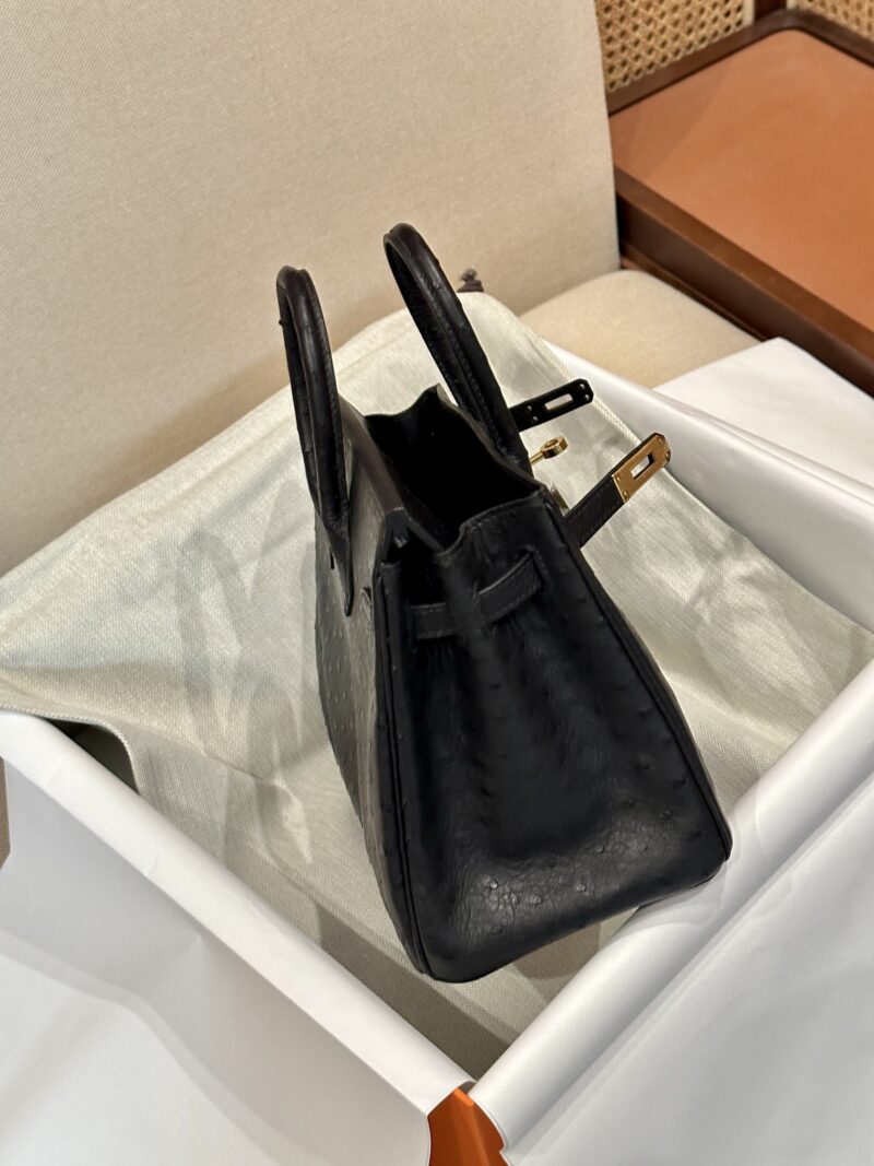 Hermès Birkin 25 Noir, Gold Ostrich Gold Hardware - Image 3