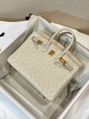 Hermès Birkin 25 Beton Ostrich Gold Hardware
