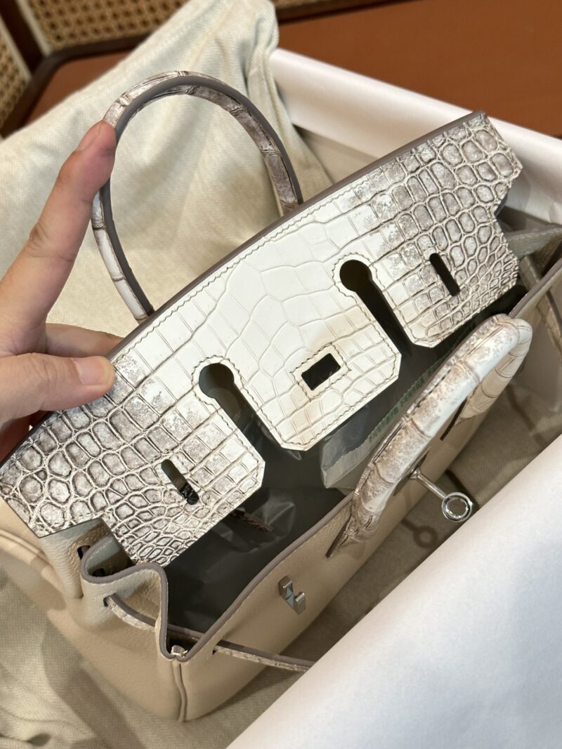 Hermès Birkin 25 Himalaya, Nata Crocodile, Togo Palladium Hardware - Image 4