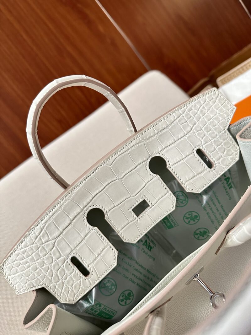 Hermès Birkin 25 Beton Crocodile, Togo Palladium Hardware - Image 6