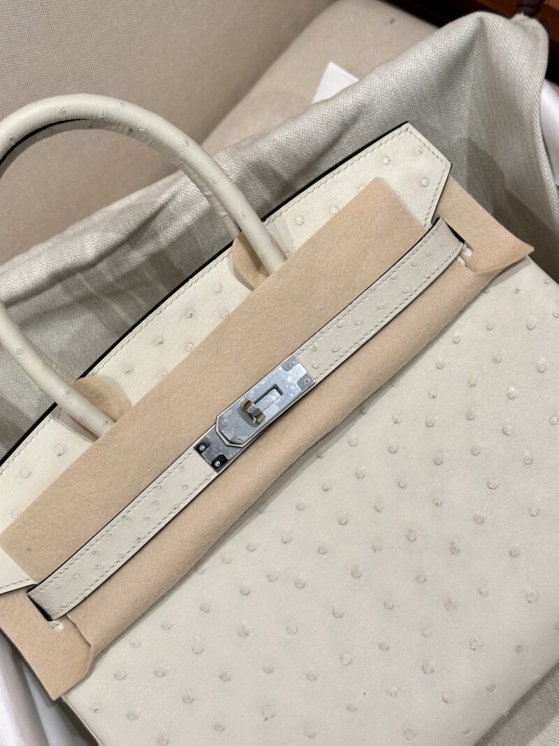 Hermès Birkin 30 Parchemin, Silver Ostrich Palladium Hardware - Image 10