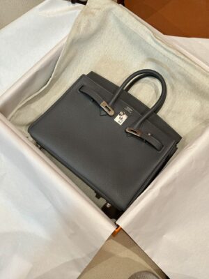 Hermès Birkin 25 Gris Misty, Silver Togo Palladium Hardware