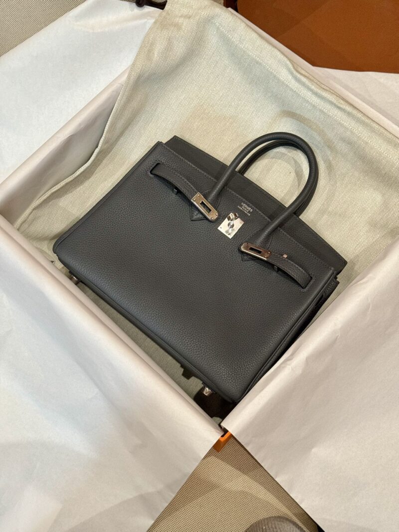 Hermès Birkin 25 Gris Misty, Silver Togo Palladium Hardware