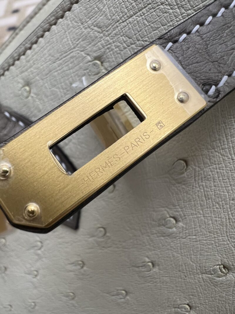 Hermès Birkin 25 Parchemin, Gris Asphalt Ostrich Gold Hardware - Image 14
