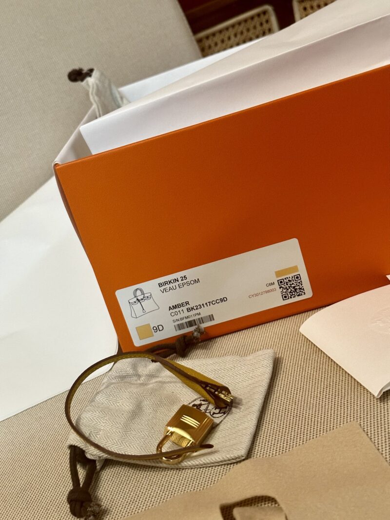 Hermès Birkin 25 Amber Epsom Gold Hardware - Image 10