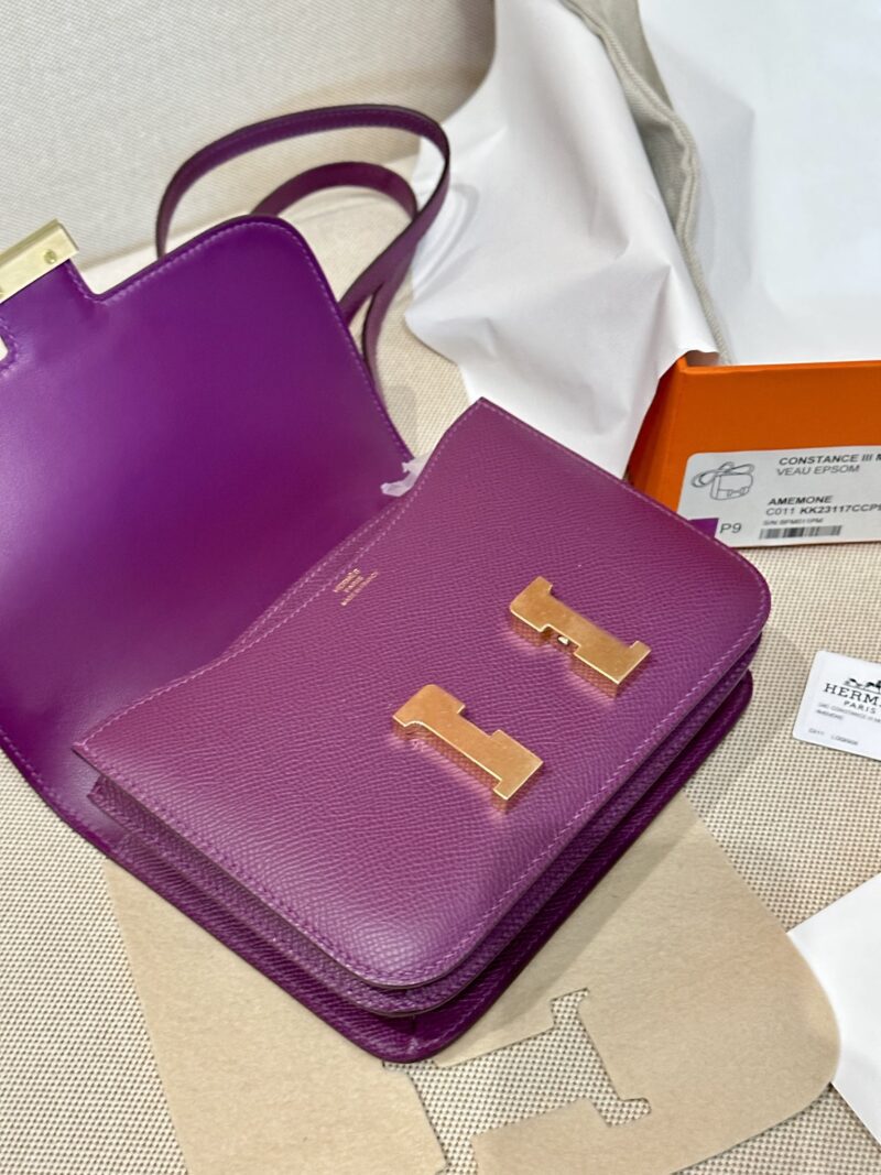 Hermès Constance 19 Anemone Epsom Gold Hardware - Image 4